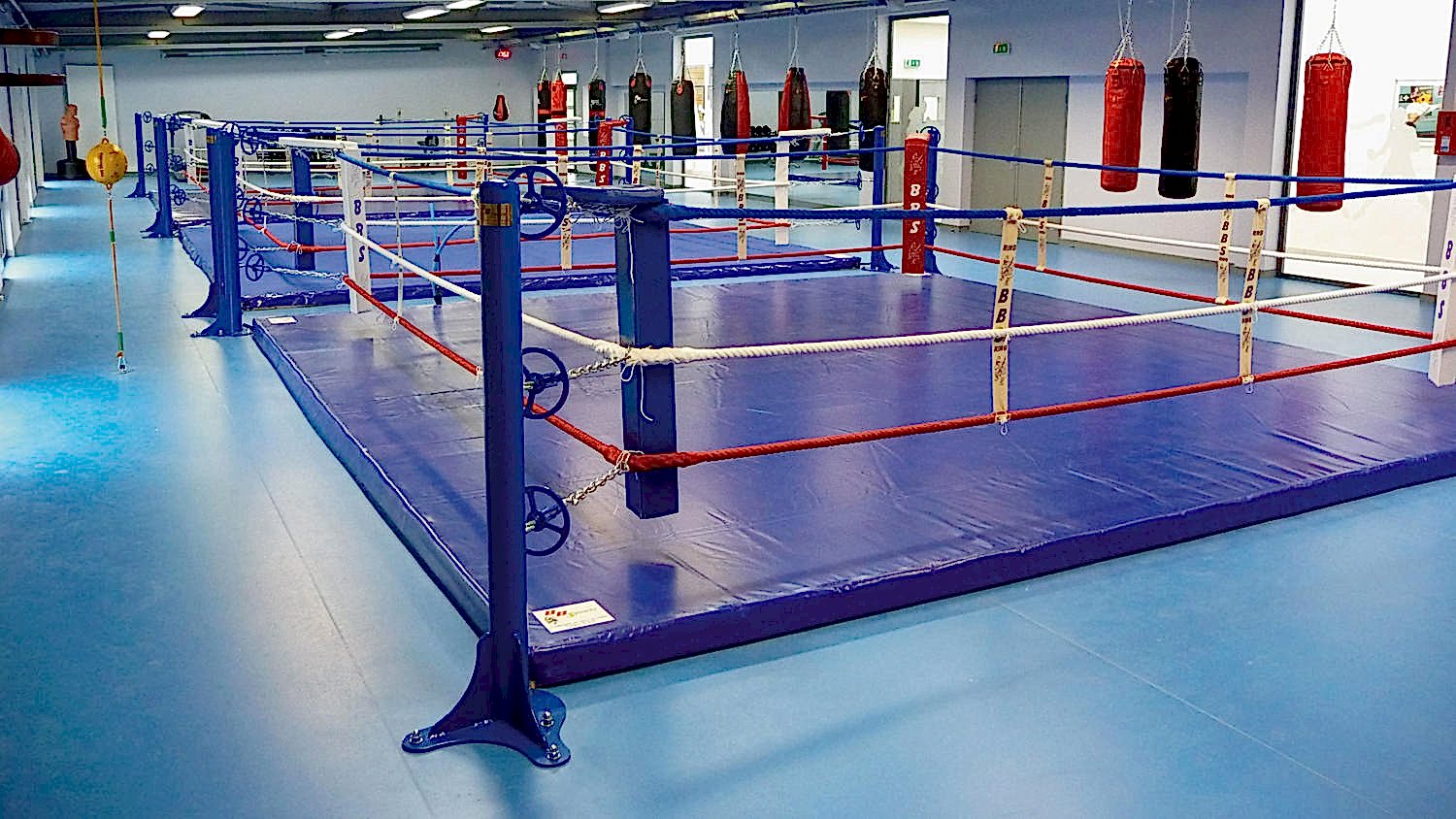 Omnisports Training (5.0 mm)