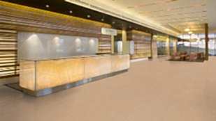 Linolyum  Style Elle xf²™ (2.5 mm)