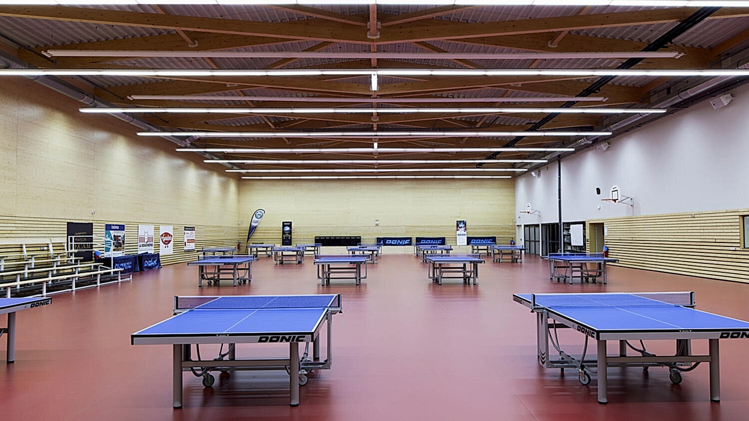 Table Tennis - Uni TONIC RED