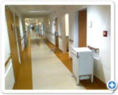 Hastane Dekorasyon / Tadilat